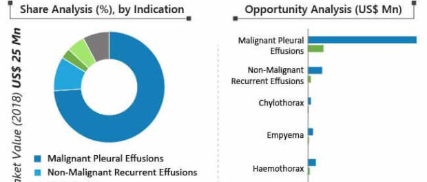 global-pleural-catheters-market-02