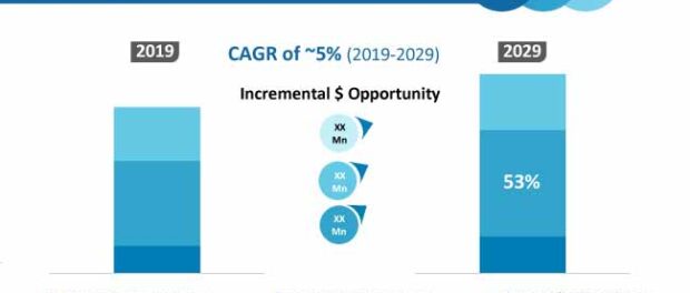 Vibratory Rammer Market