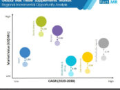 milk-thistle-supplements-market-incremental-opportunity