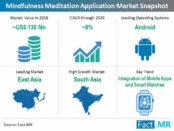 mindfulness-meditation-application-market-snapshot