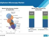 multiphoton-microscopy-market
