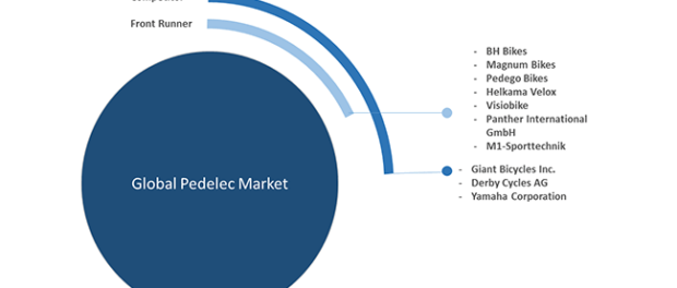 pedelec-marketplayers-concentrations-mapping