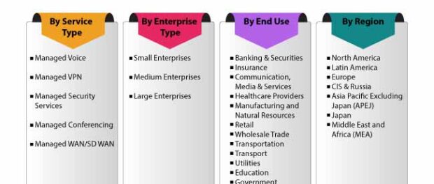 segmentation-managed-network-services-market-1