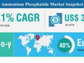summary-ammonium-phosphatide-market (1)
