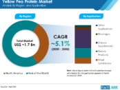 yellow-pea-protein-market-analysis-by-region-and-applicatin