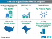 Isomalto-oligosaccharide Market Snapshot