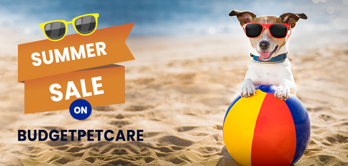 Summer Sale On Budgetpetcare Express Press Release Distribution