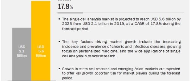 Single-cell Analysis Market