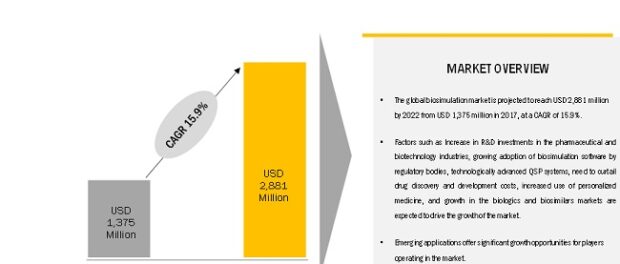 Biosimulation Market