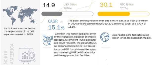 Cell Expansion Market