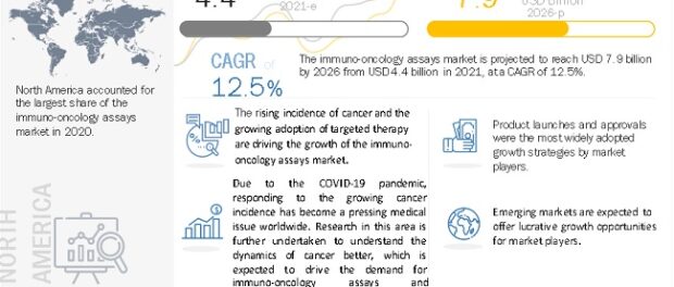 Immuno Oncology Assays Market