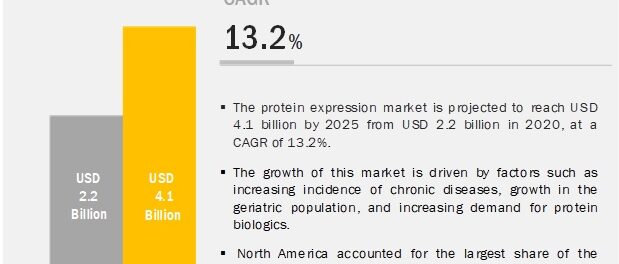 Protein Expression Market