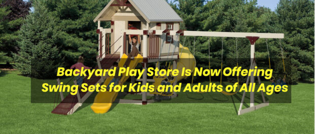 Swing Sets for Kids and Adults: Backyard Play Store
