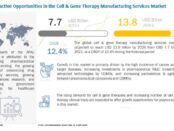 Cell & Gene Therapy Manufacturing Services Market