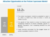 Protein Expression Market