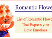 romantic flowers- Want to Impress your Love? Try These Romantic Flowers Offered by CosmeaGardens