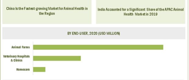 Animal Health Market: Consolidation in animal health industry – Express  Press Release Distribution
