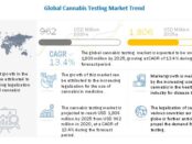 cannabis testing market