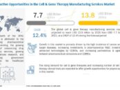 Cell and Gene Therapy Manufacturing Services Market