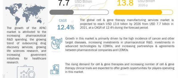Cell and Gene Therapy Manufacturing Services Market