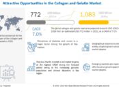 Collagen and Gelatin Market