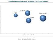 Transfer Membrane Market