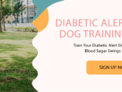 Diabetic Alert Service Dog Training