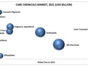Top 10 Care Chemicals Market