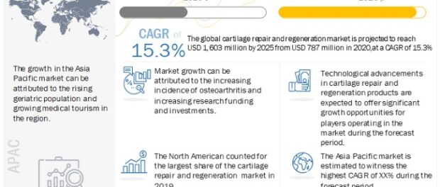 Cartilage Repair Market