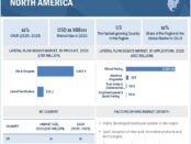 Lateral Flow Assays Market