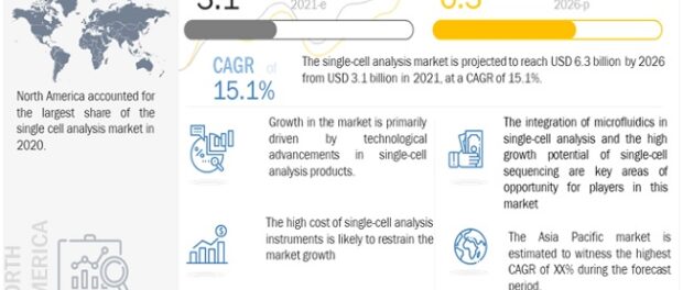 Single-cell Analysis Market