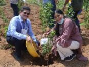 Goldstab Organics plants 1000 saplings on World Environment Day