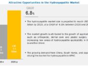 Hydroxyapatite Market, Hydroxyapatite (HAp), HAp Market