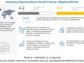 MS Polymer Adhesives Market, MS Polymer Adhesives