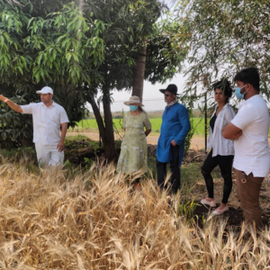 Visitors enjoying a fresh meal prepared using ingredients grown at TBOF.