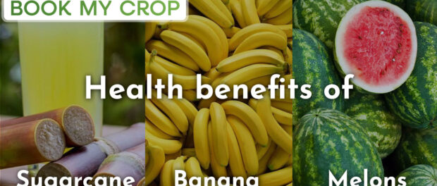 Health benefits of Sugarcane, Bananas and Melons