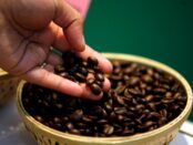 best coffee beans in Adelaide