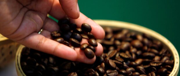 best coffee beans in Adelaide