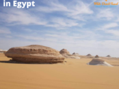 Travel Agency in Egypt