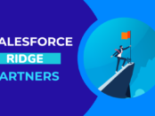 Salesforce Ridge Consulting Partner