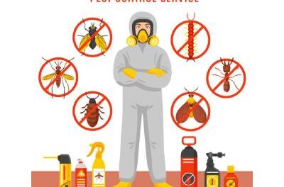 home pest control