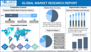 Sulfuric Acid Market
