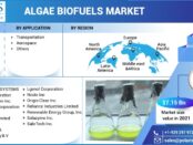 Algae Biofuels Market