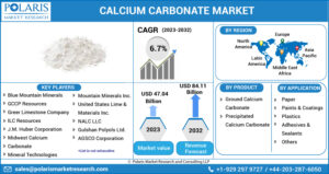 Calcium Carbonate Market
