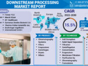 Downstream Processing Market-01