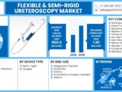 Flexible & Semi-Rigid Ureteroscopy Market