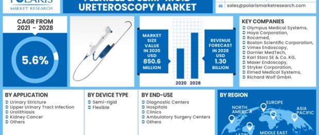 Flexible & Semi-Rigid Ureteroscopy Market