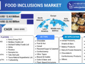 Food Inclusions Market