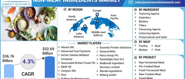 Non-meat Ingredients Market