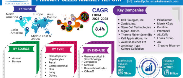 Primary Cells Market